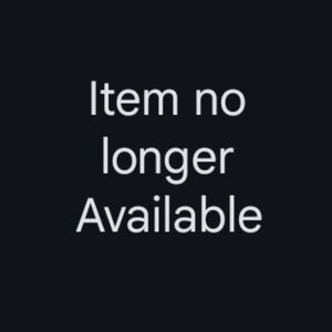 Gildan Black BILLY IDOL CONCERT MERCH